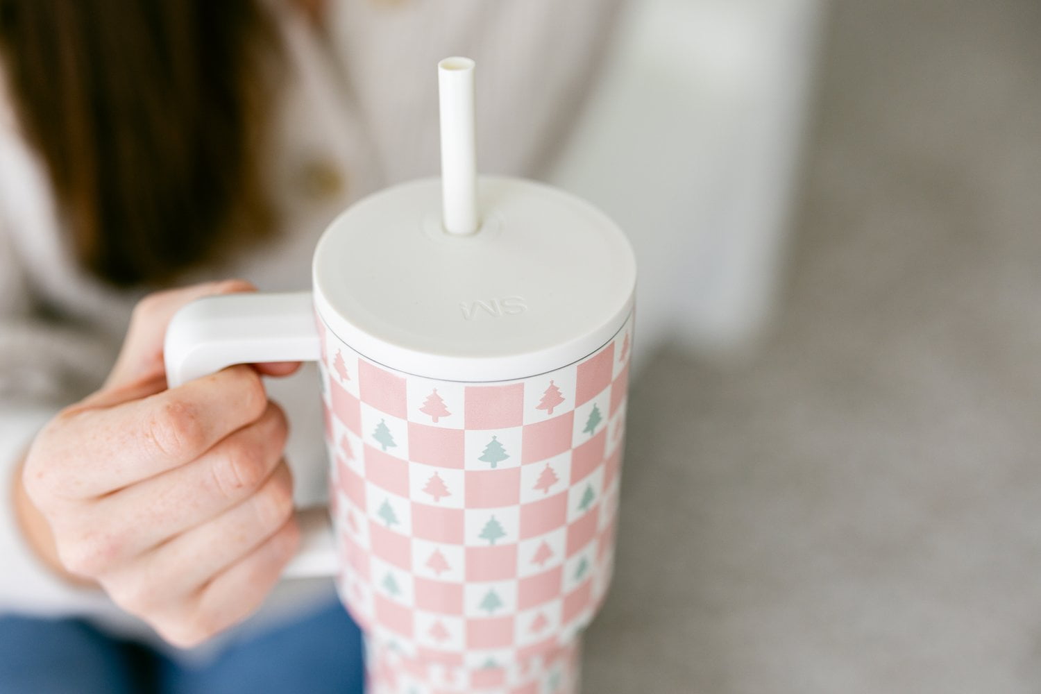 Simple Modern 30 fl oz Insulated Stainless Steel Trek Tumbler with Straw Lid | Seaglass Sage and Cream Checkmate - B21Q