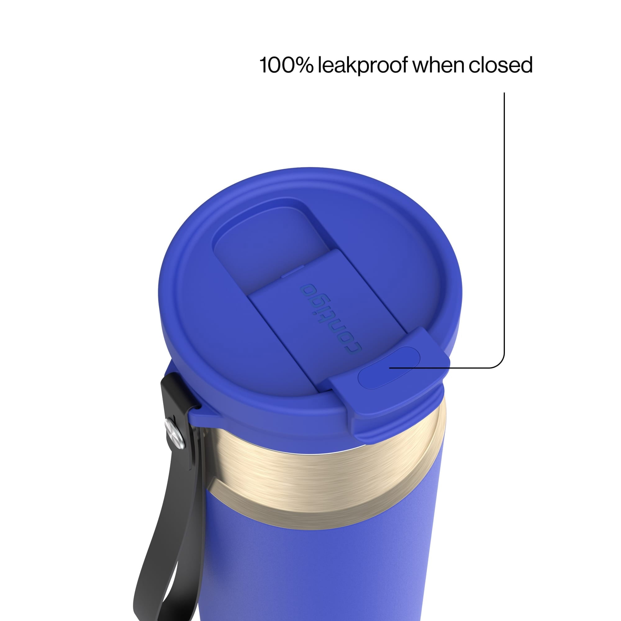 Contigo DualSip 24 oz Leakproof Insulated Water Bottle with Carrying Strap and 2-Way Lid - KKY1