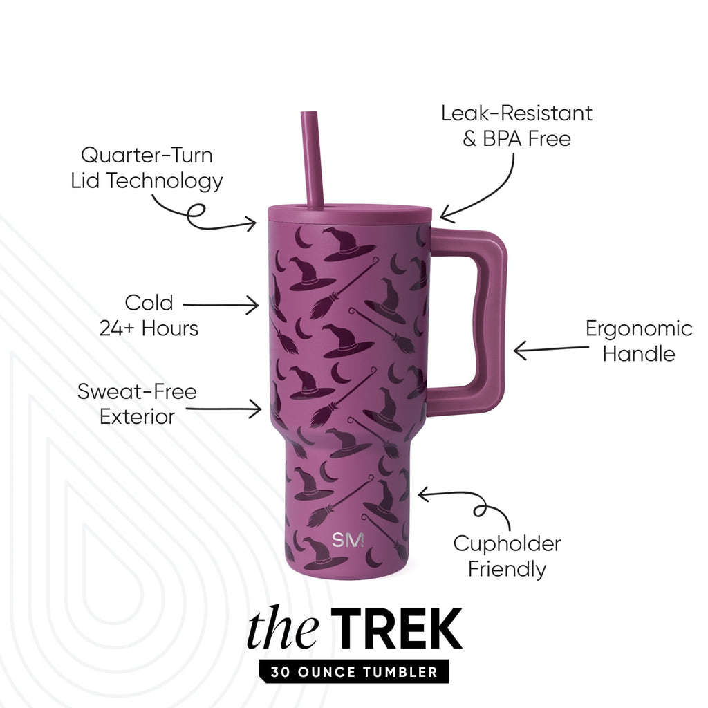 Simple Modern 30 fl oz Insulated Stainless Steel Trek Tumbler with Straw Lid | Seaglass Sage and Cream Checkmate - B21Q