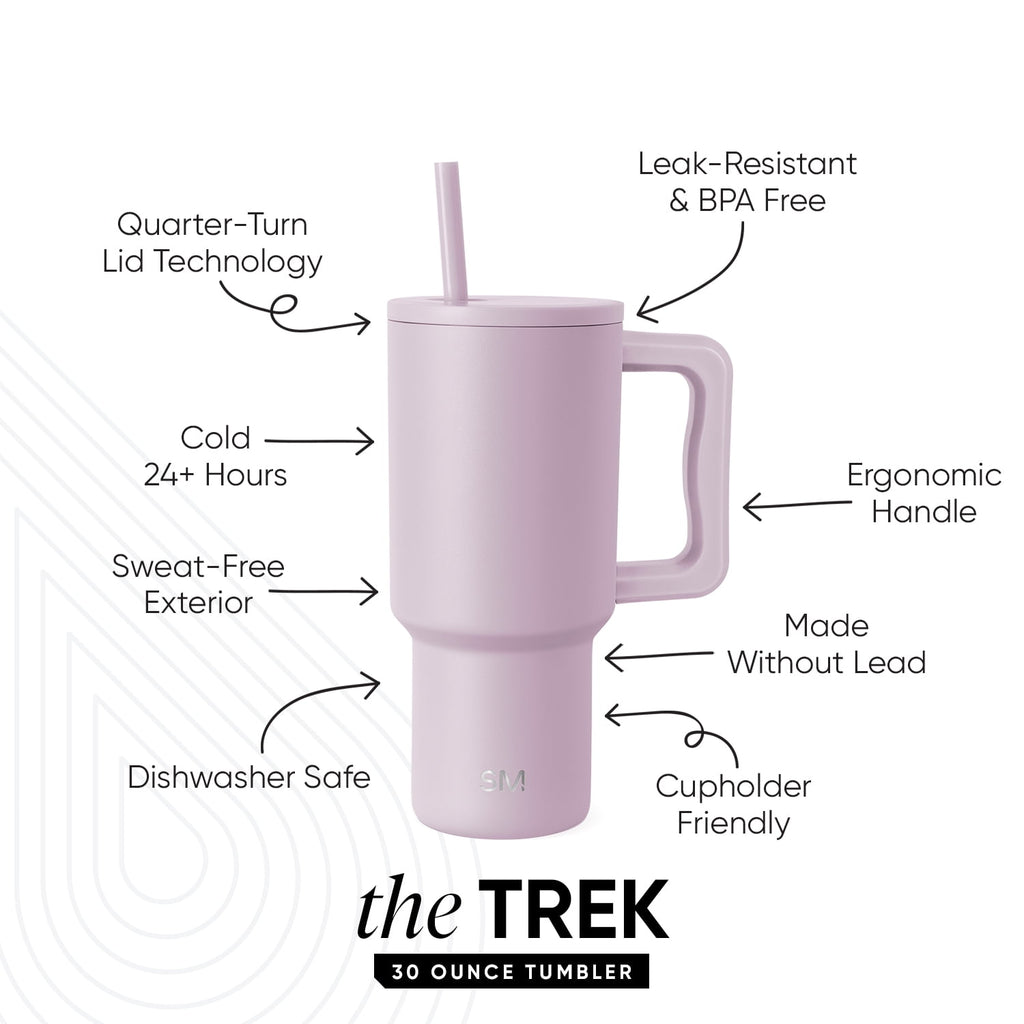 Simple Modern 30 fl oz Insulated Stainless Steel Trek Tumbler with Straw Lid | Seaglass Sage and Cream Checkmate - B21Q