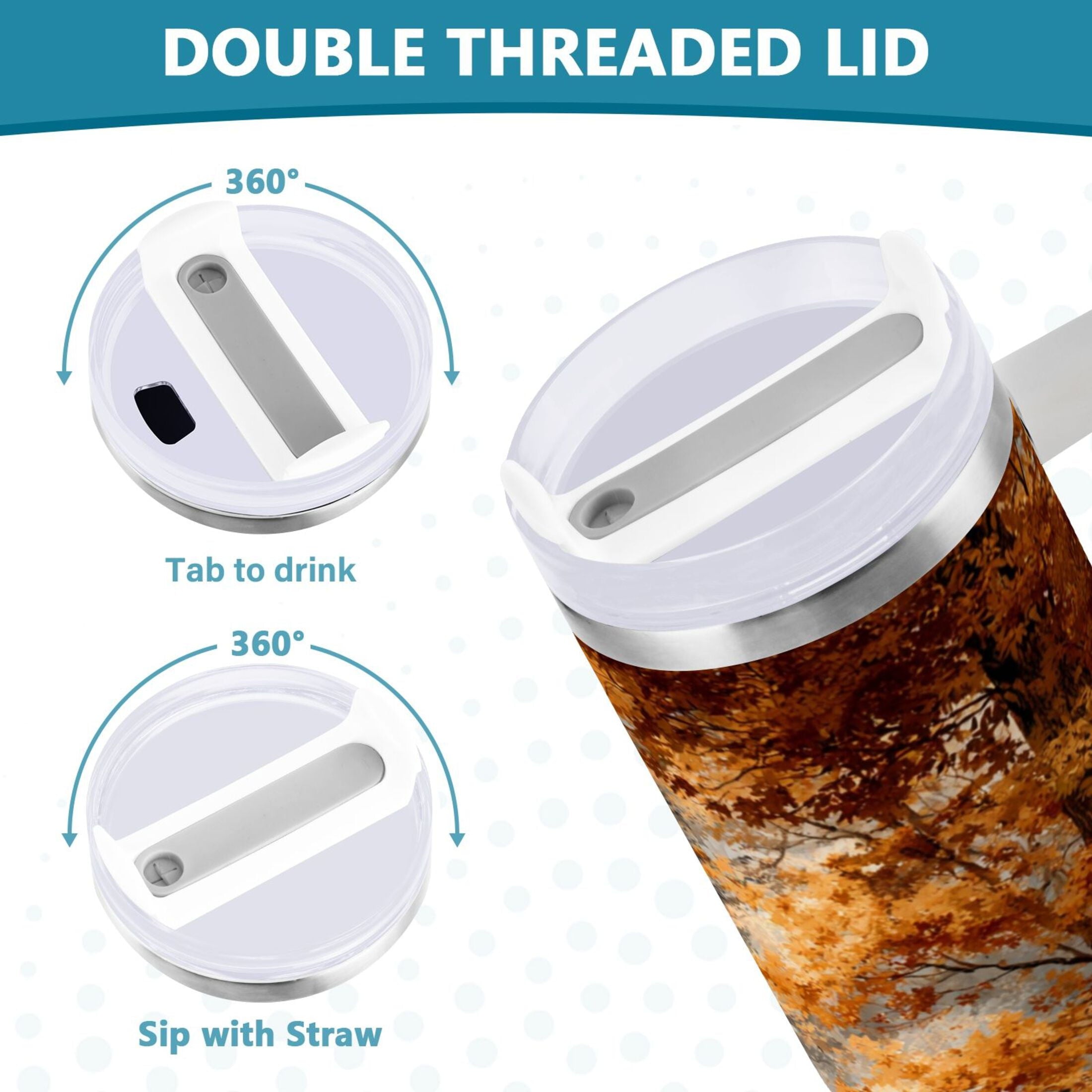 30 oz Insulated Stainless Steel Tumbler Double Wall Stainless Steel Tumbler with 2-Way Drinking Beautiful Autumn Forest - FIH4