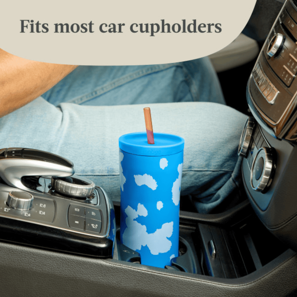Contigo x Ally Love Streeterville 2.0 Stainless Steel Tumbler with Straw, 24 oz, Stellar Jay - TPEN