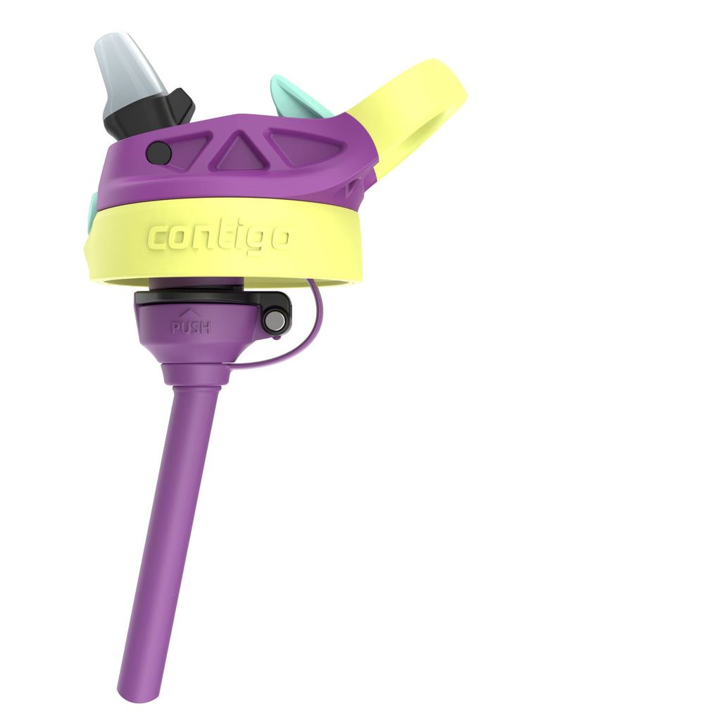 (4 pack) Contigo Kids Water Bottle with Redesigned AUTOSPOUT Straw, 14 oz, Grape Forest Haven - MRSP