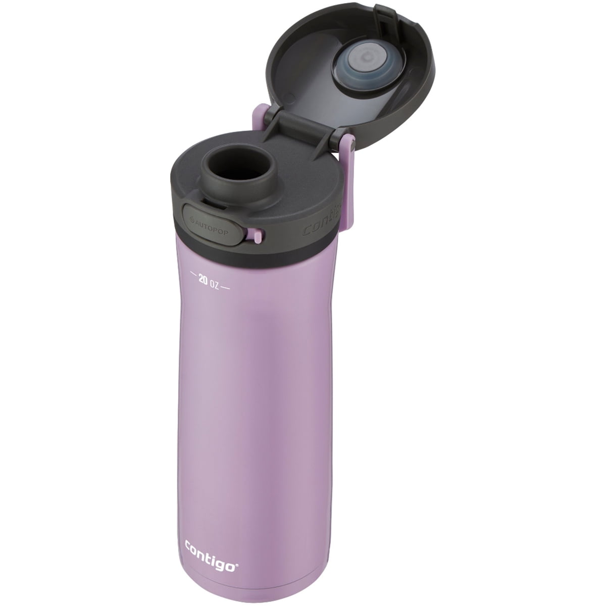Contigo 20 oz. Jackson Chill 2.0 Water Bottle - Stainless Steel w/Licorice - 6G9T