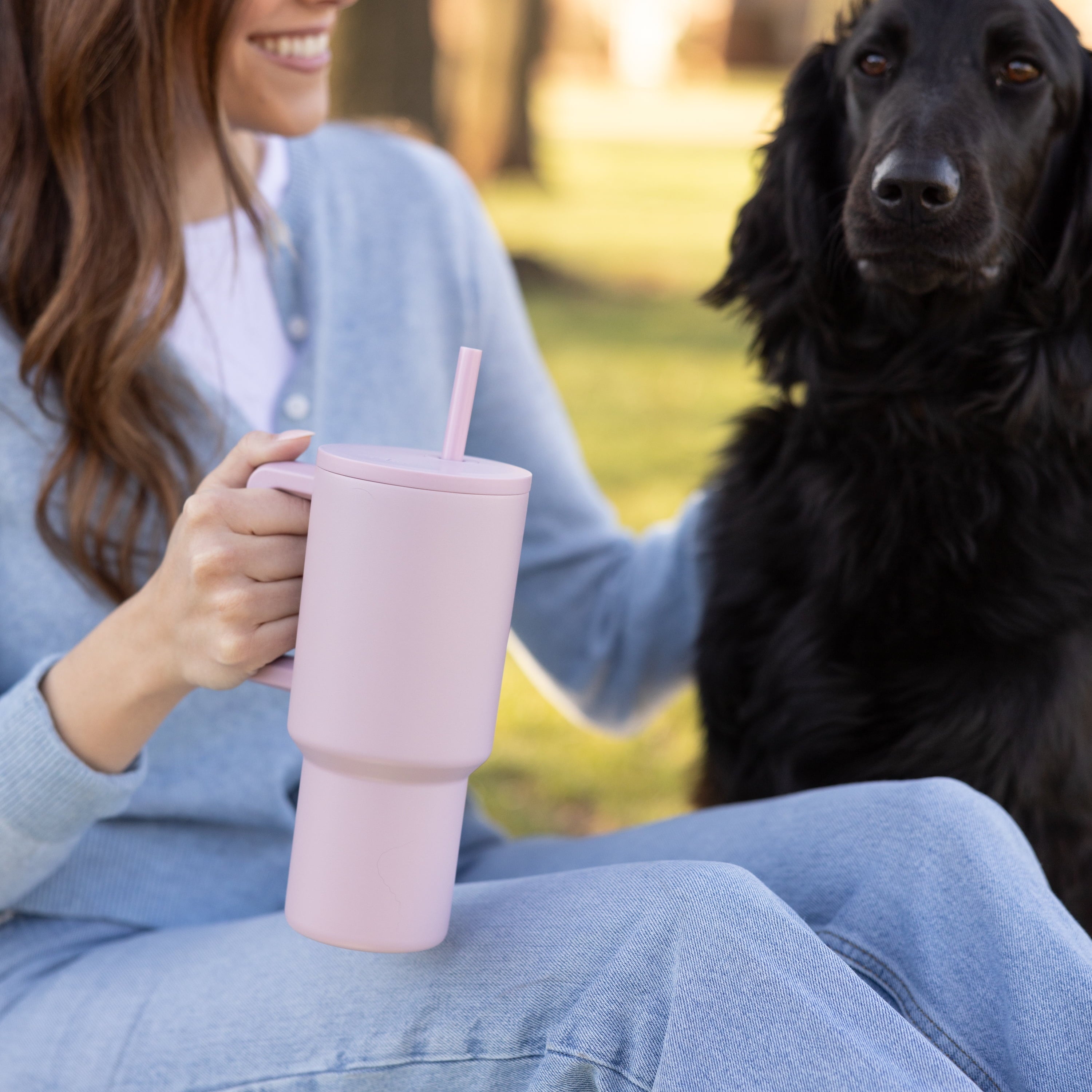 Simple Modern 30 fl oz Insulated Stainless Steel Trek Tumbler with Straw Lid | Seaglass Sage and Cream Checkmate - B21Q