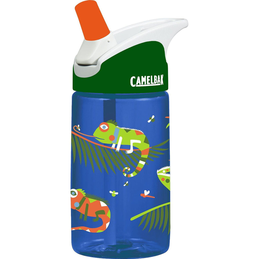 CamelBak Eddy Kids BPA Free Water Bottle Airplane Bandits Bottle Only - L64P