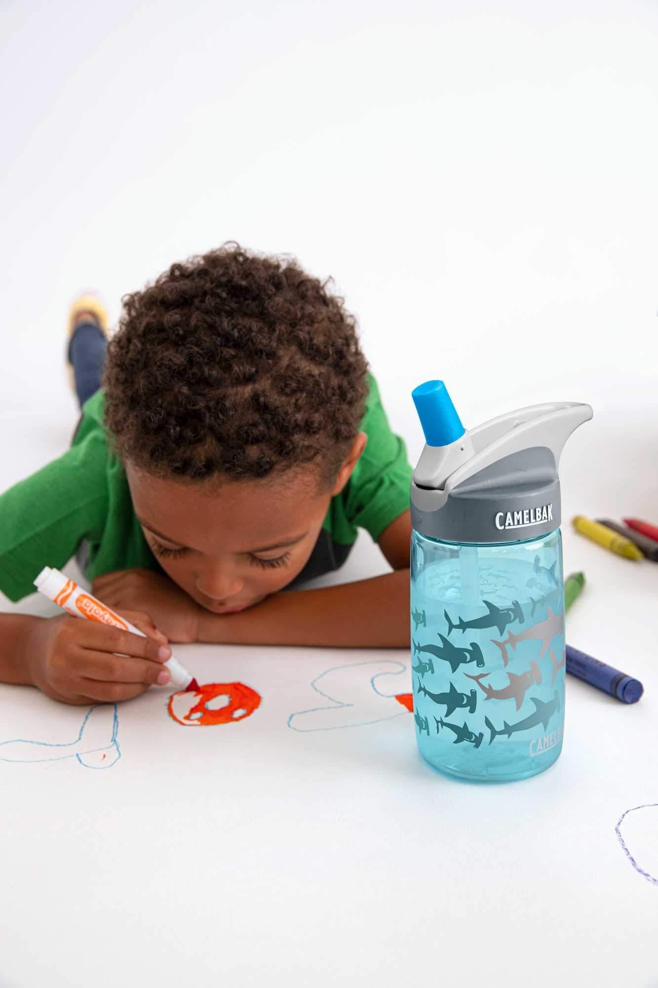CamelBak Eddy Kids BPA Free Water Bottle Airplane Bandits Bottle Only - L64P