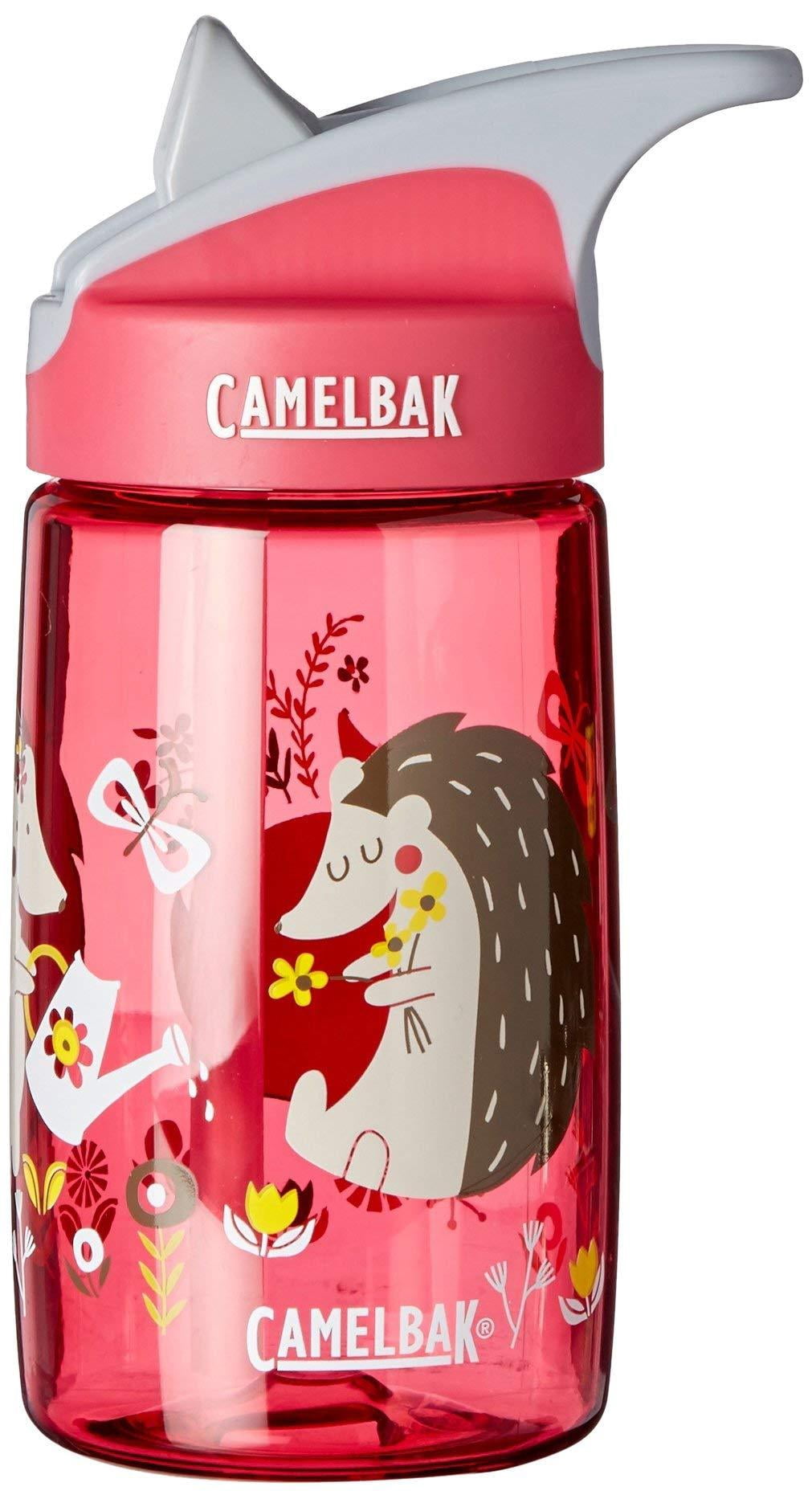 CamelBak Eddy Kids BPA Free Water Bottle Airplane Bandits Bottle Only - L64P