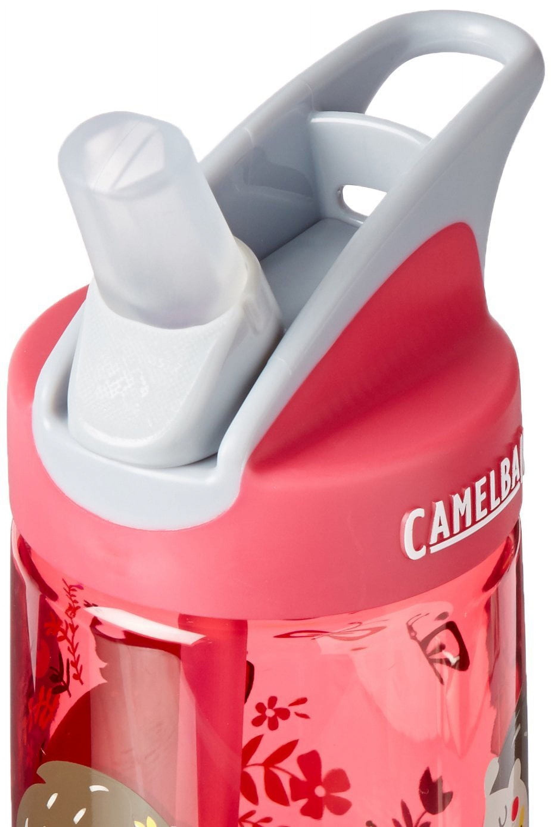 CamelBak Eddy Kids BPA Free Water Bottle Airplane Bandits Bottle Only - L64P