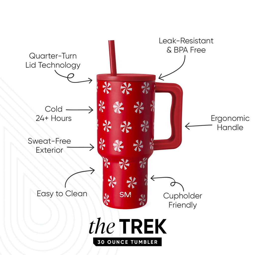 Simple Modern 30 fl oz Insulated Stainless Steel Trek Tumbler with Straw Lid | Seaglass Sage and Cream Checkmate - B21Q