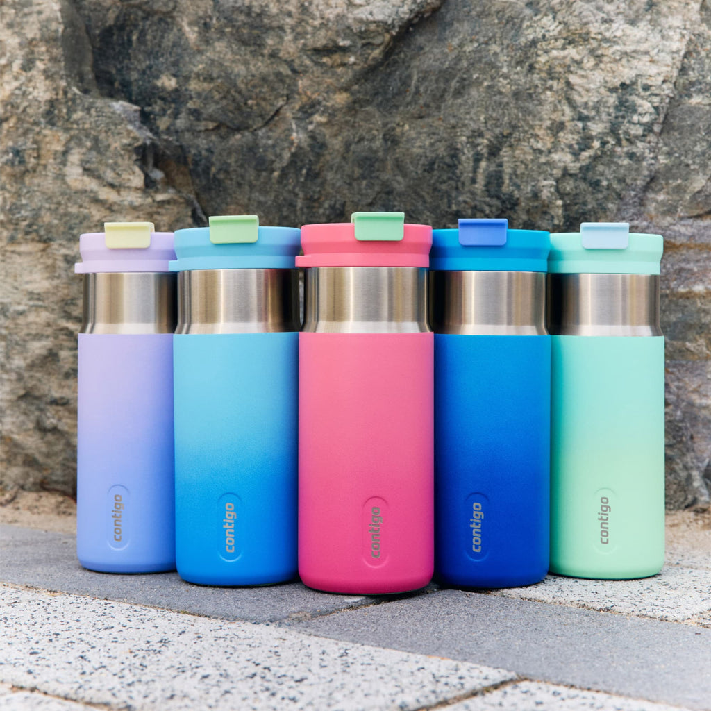 Contigo DualSip 16 oz Compact Leakproof Insulated Water Bottle with 2-Way Lid - WX2D