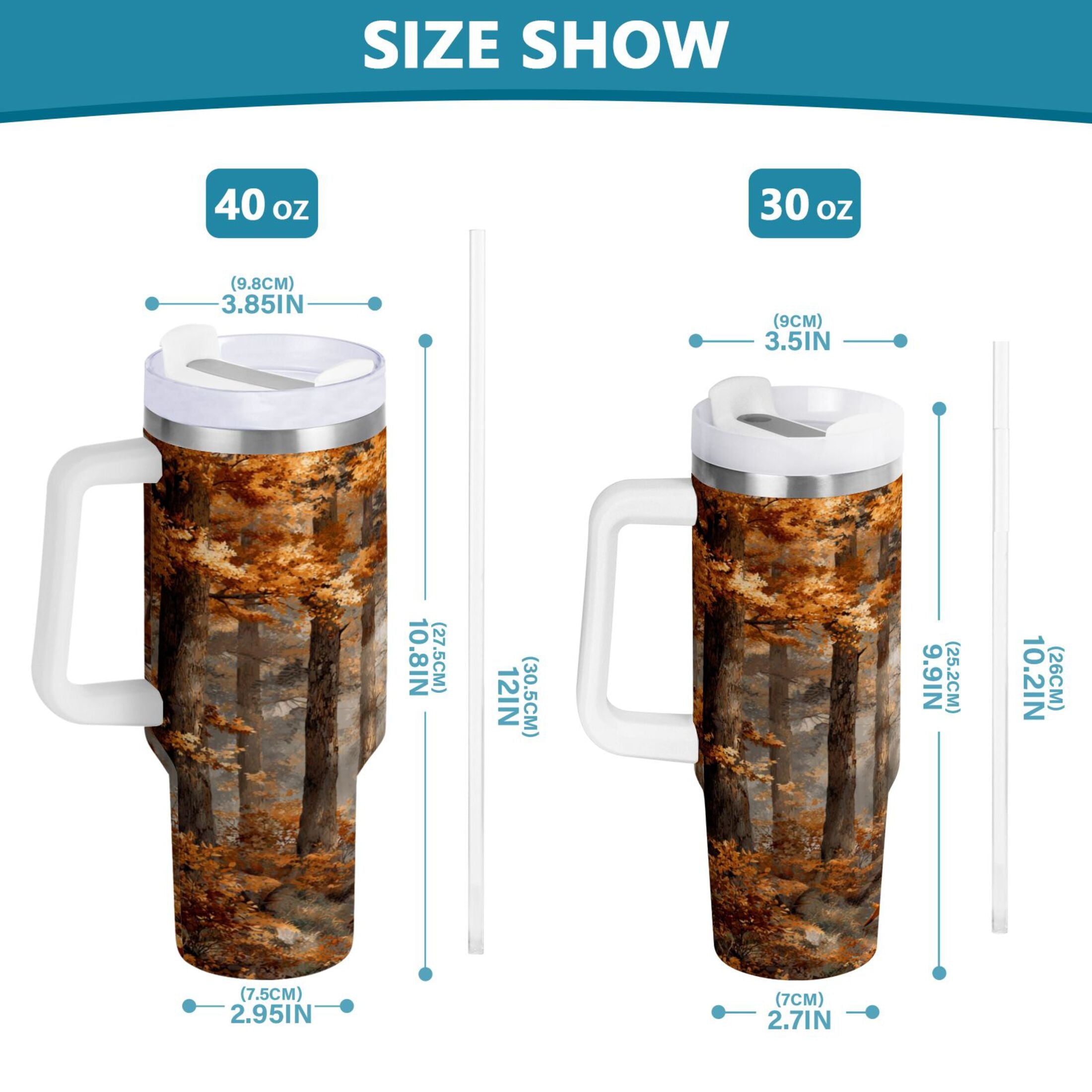 30 oz Insulated Stainless Steel Tumbler Double Wall Stainless Steel Tumbler with 2-Way Drinking Beautiful Autumn Forest - FIH4