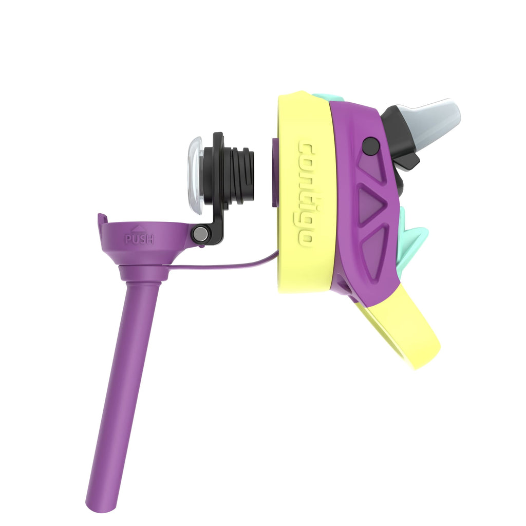Contigo Kids Water Bottle with Redesigned AUTOSPOUT Straw, 14 oz, Grape Forest Haven - IJLN