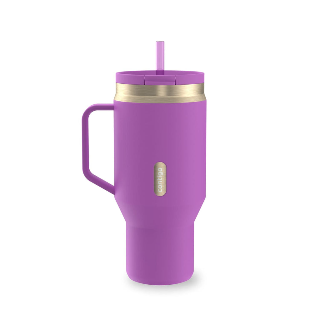 Contigo SnapSeal Leakproof Stainless Steel Reusable Water Bottle Tumbler with Side Handle, Black/Bronze, 30 oz - ROMG