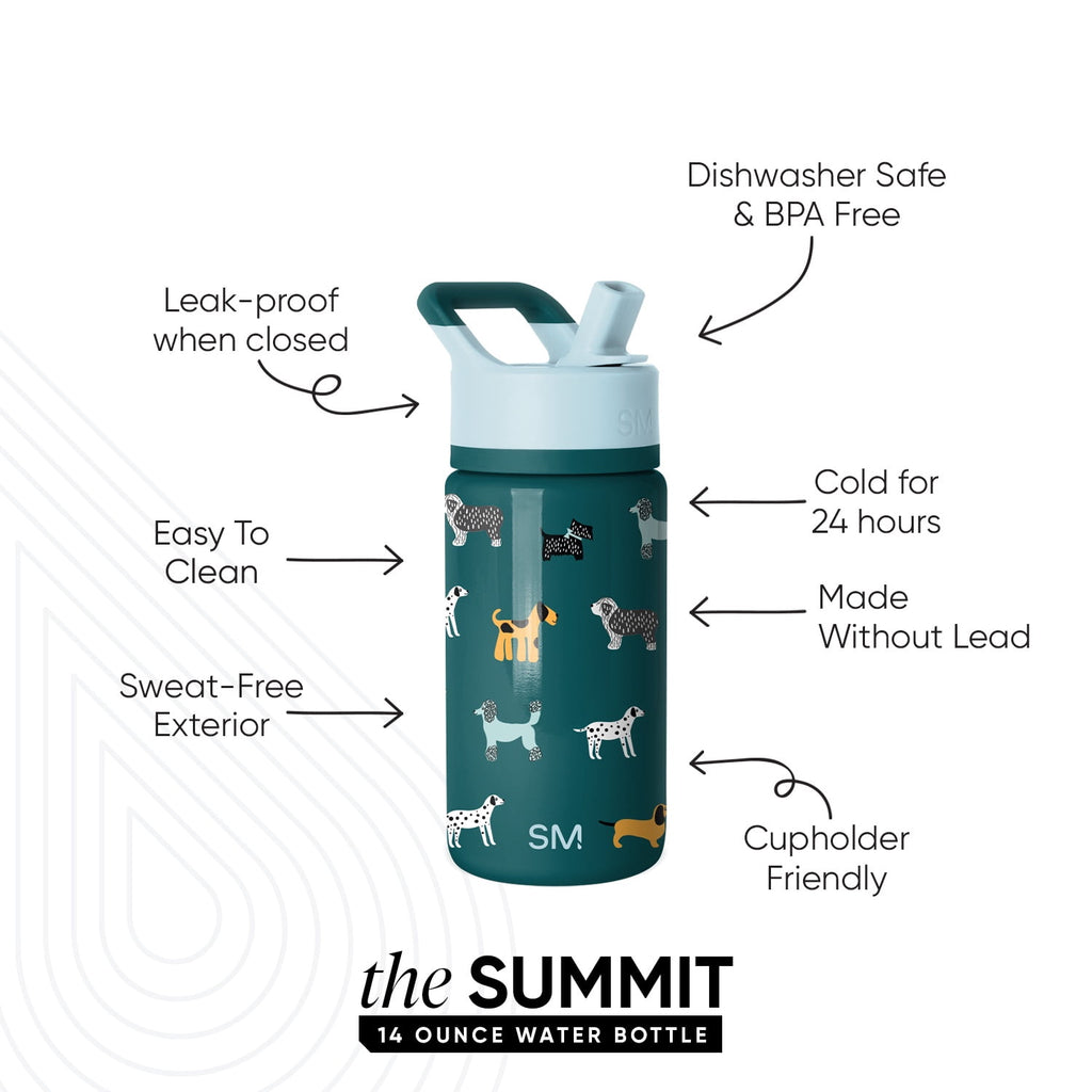 Simple Modern 14oz Summit Water Bottle with Straw Lid | Confetti - JVQG