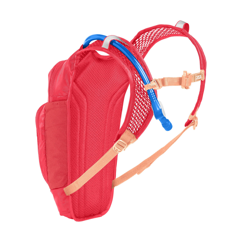 Camelbak Kid's Mini Mule.® 50oz Hydration Pack, Pink/Flowers - ZGV5