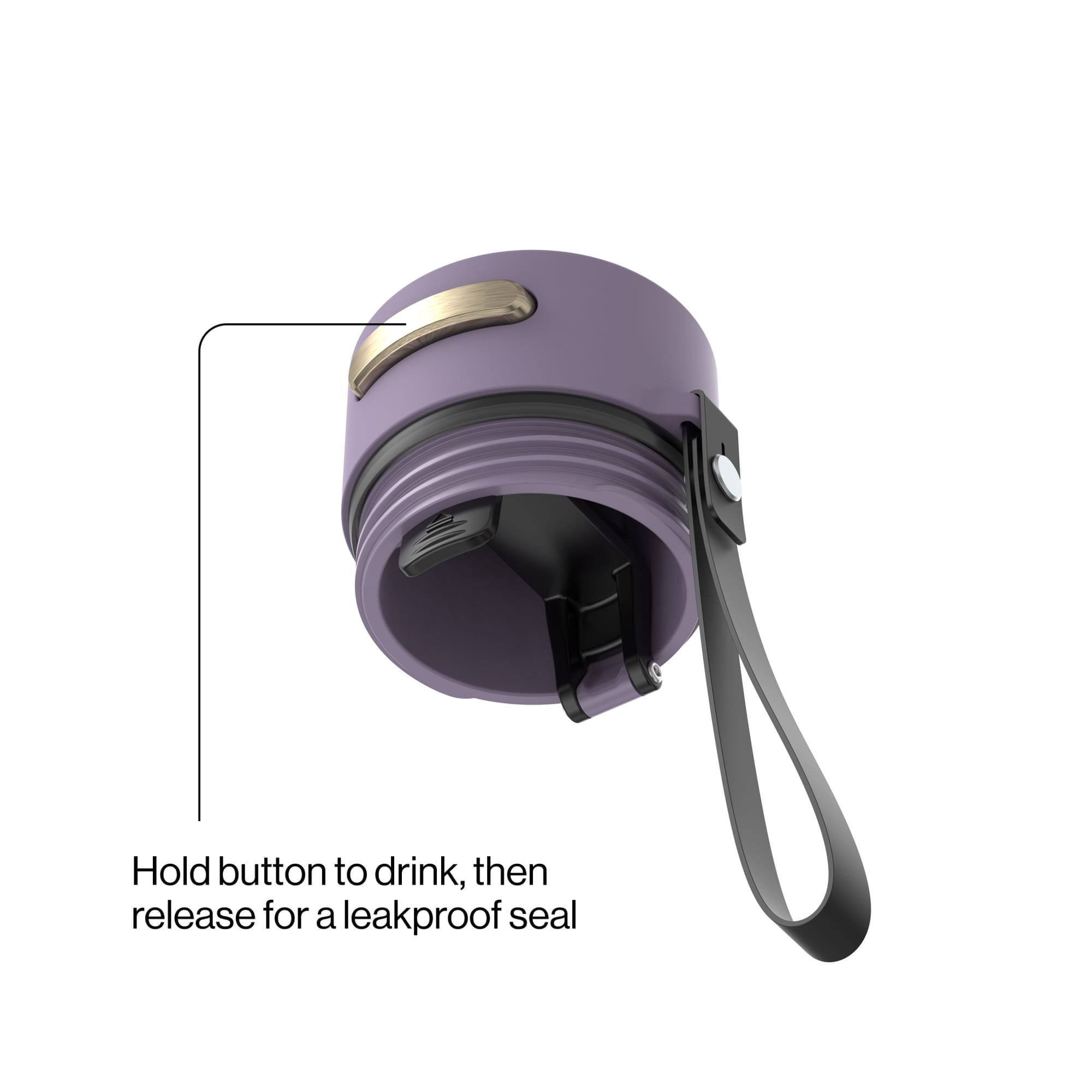 Contigo AutoSeal 16 oz Leakproof Water Bottle with Carrying Strap - FZCD