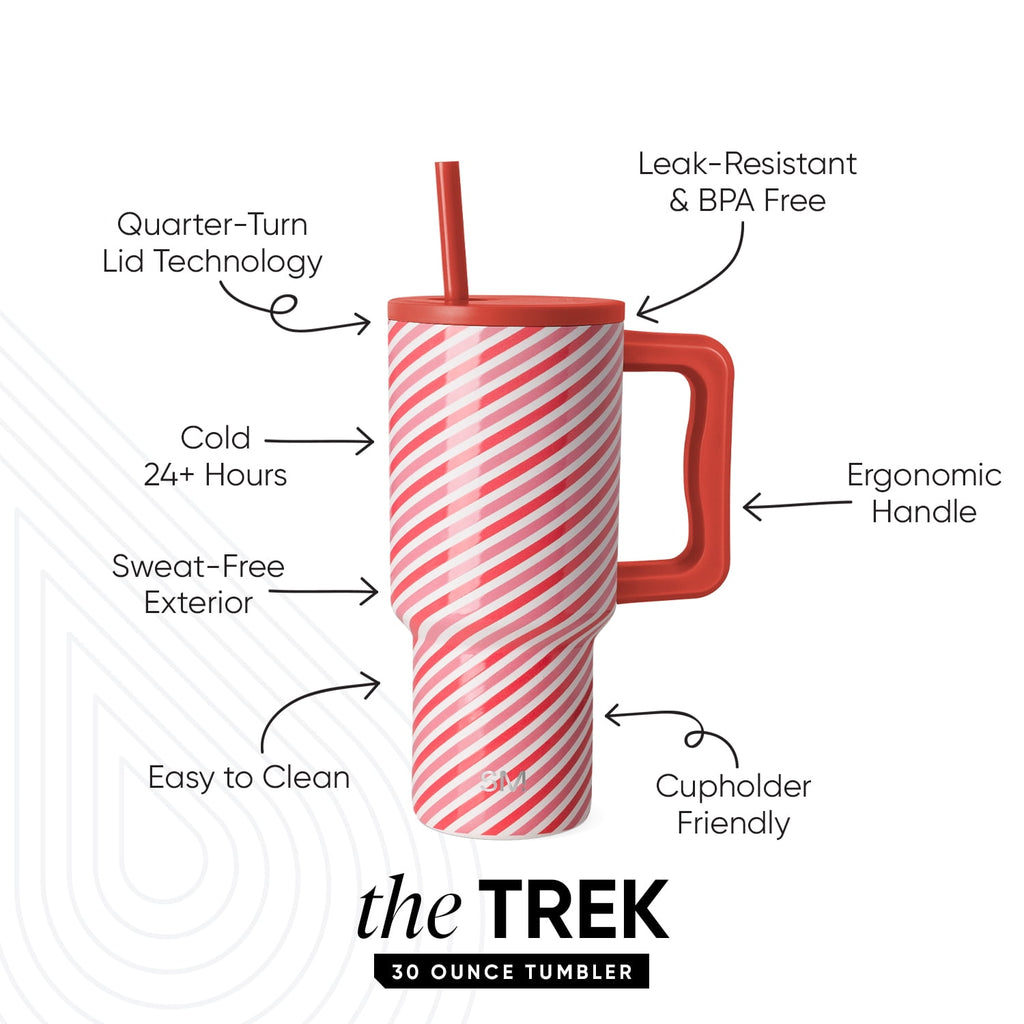 Simple Modern 30 fl oz Insulated Stainless Steel Trek Tumbler with Straw Lid | Seaglass Sage and Cream Checkmate - B21Q