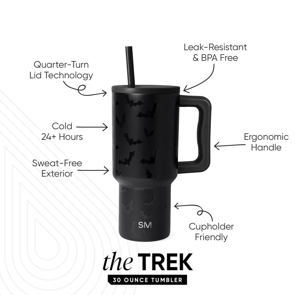 Simple Modern 30 fl oz Insulated Stainless Steel Trek Tumbler with Straw Lid | Seaglass Sage and Cream Checkmate - B21Q